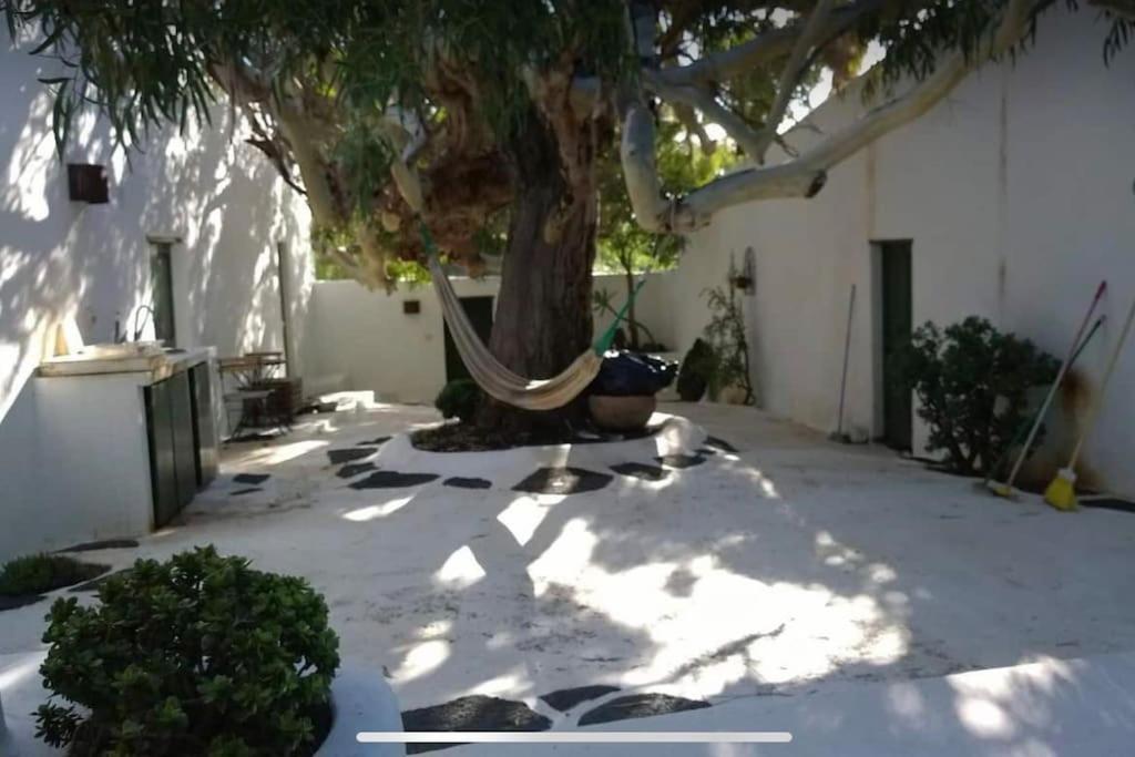 Lovely Studio In Original Finca La Asomada  Buitenkant foto